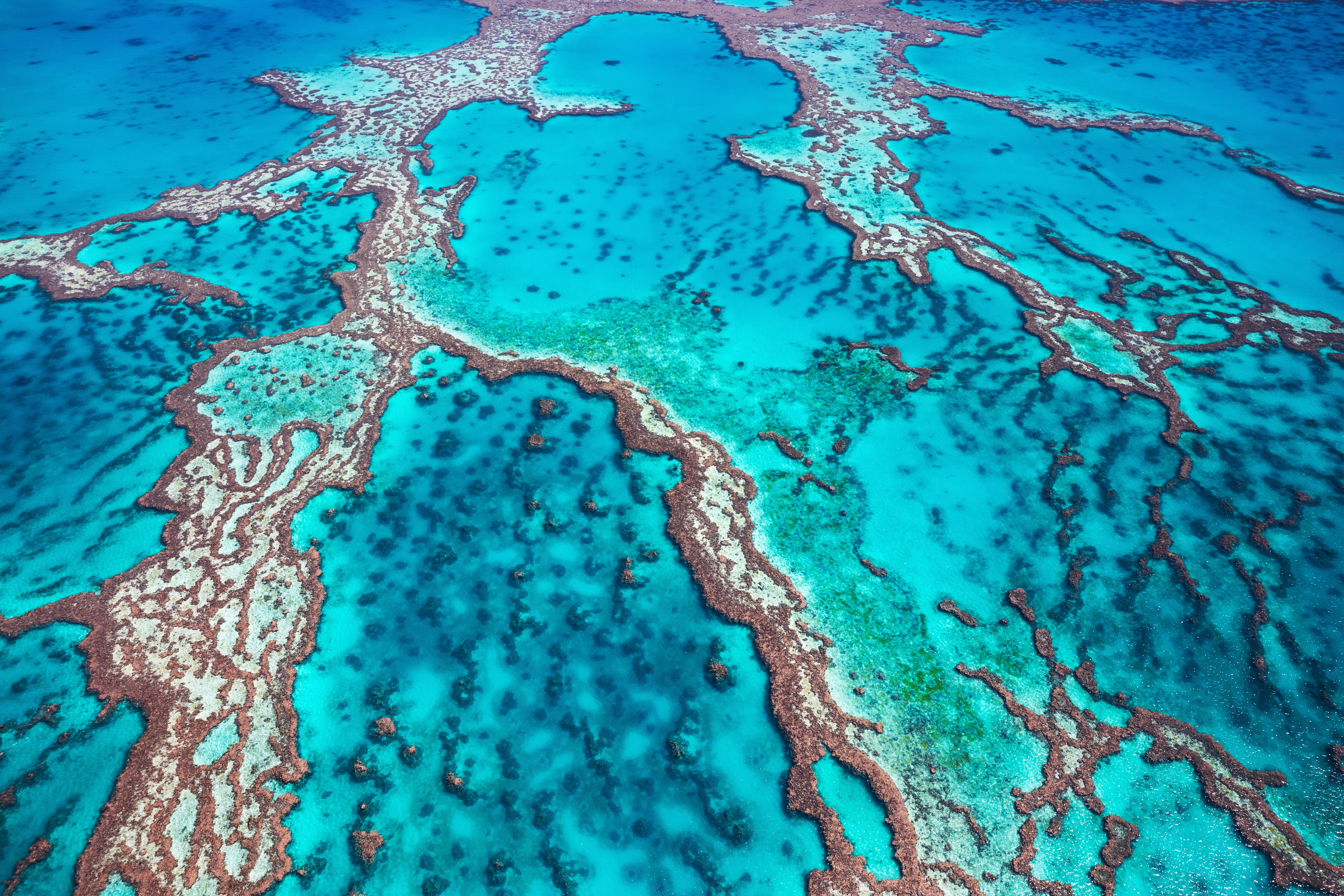 Great Barrier Reef Tourism Australia Tropical North Queensland